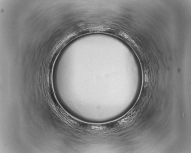 X0000057060487200510071410