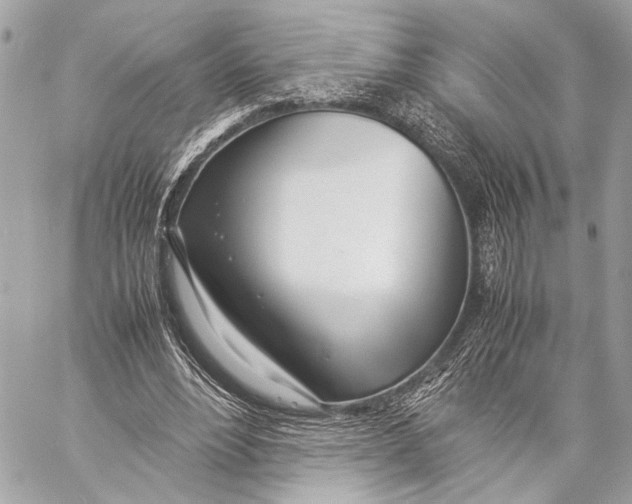 X0000057060488200510071410