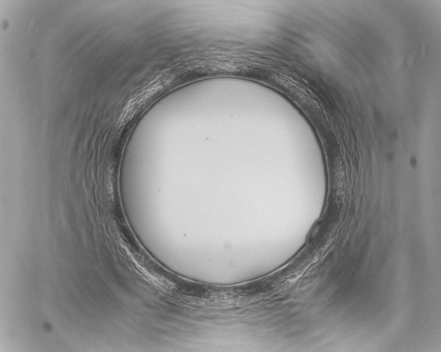 X0000057060489200510071410