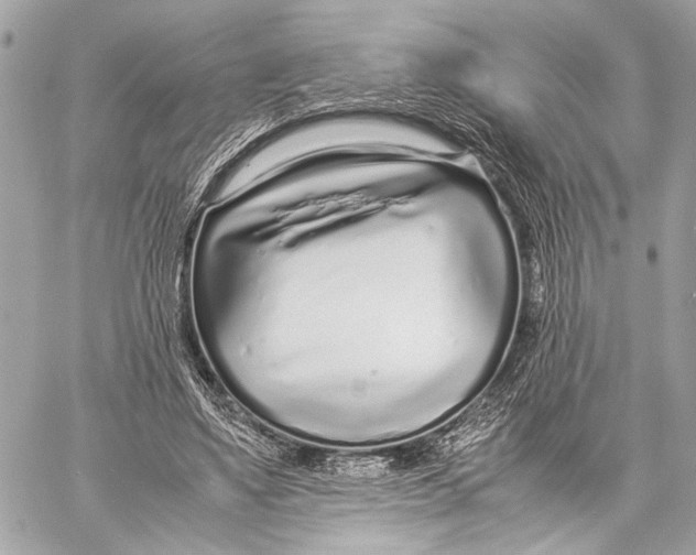 X0000057060491200510071410