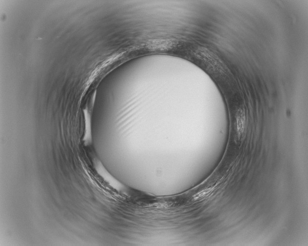 X0000057060492200510071410