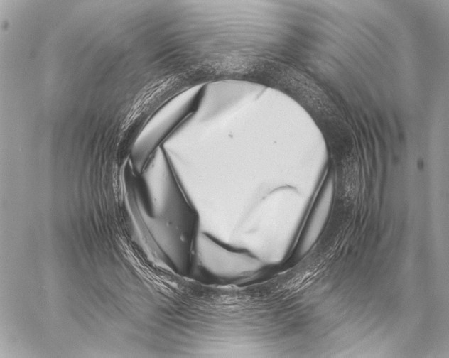 X0000057060494200510071410