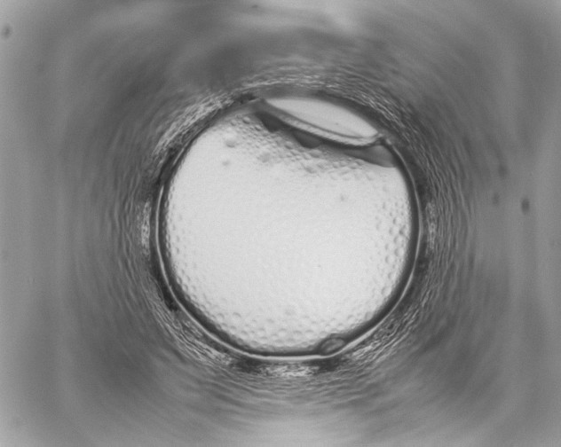 X0000057060495200510071410