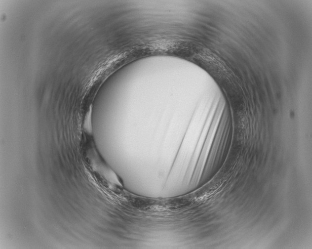 X0000057060496200510071410