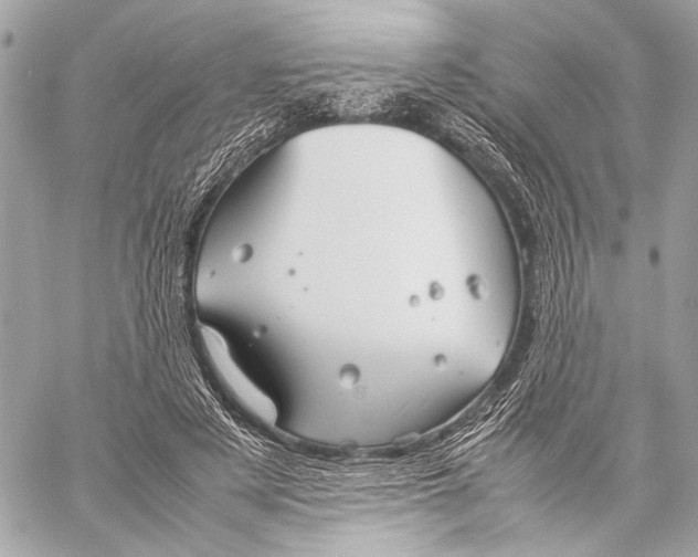 X0000057060497200510071410