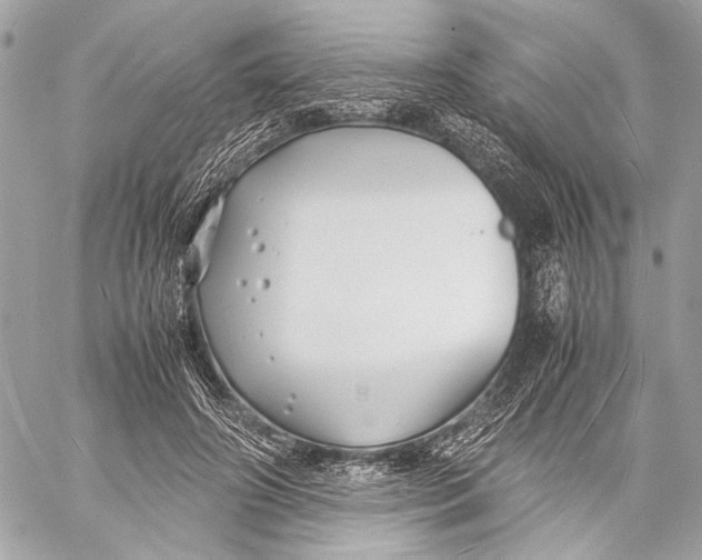 X0000057060498200510071410