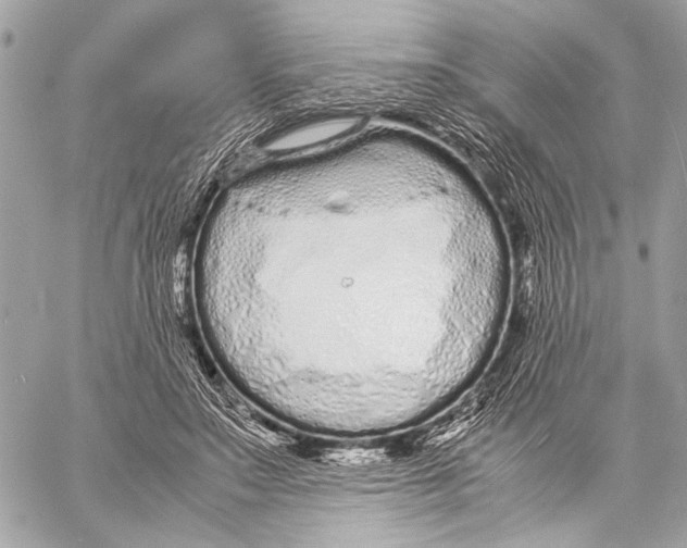 X0000057060499200510071410