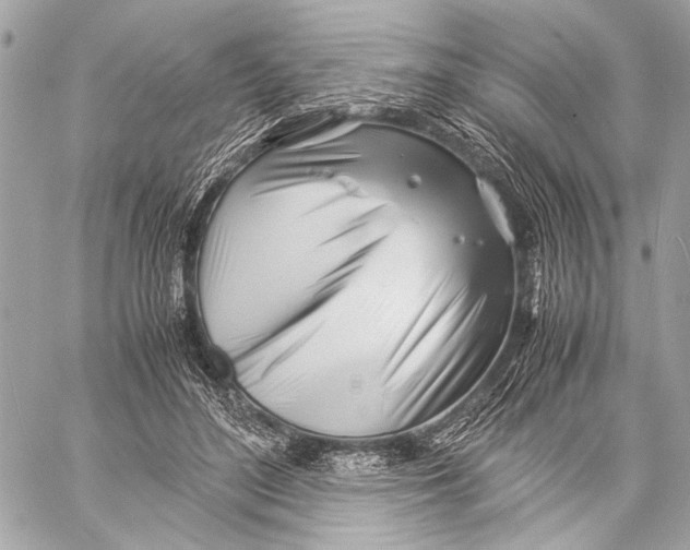 X0000057060500200510071410