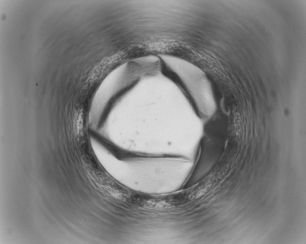 X0000057060502200510071410