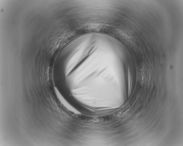 X0000057060504200510071410