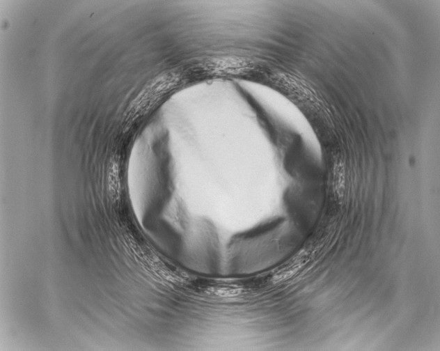 X0000057060506200510071410