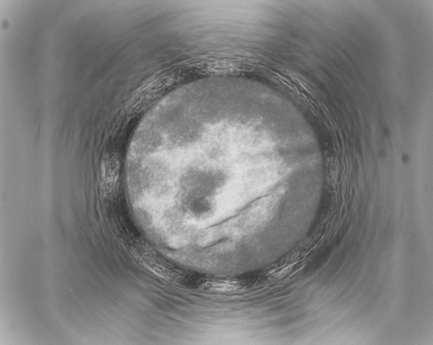 X0000057060507200510071410