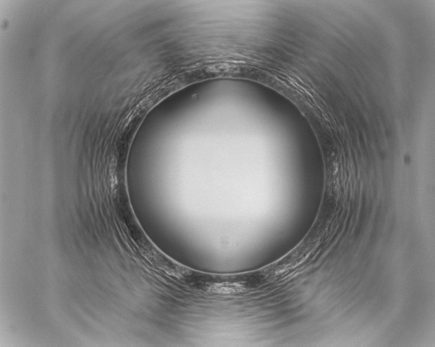 X0000057060508200510071410