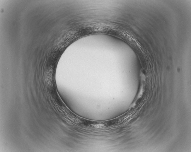 X0000057060509200510071410