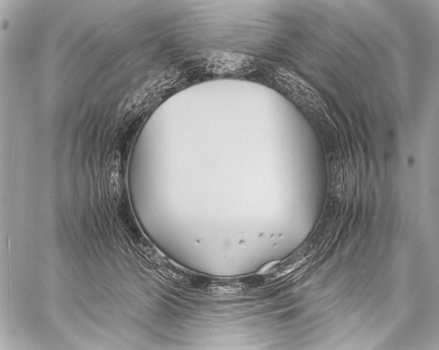 X0000057060510200510071410