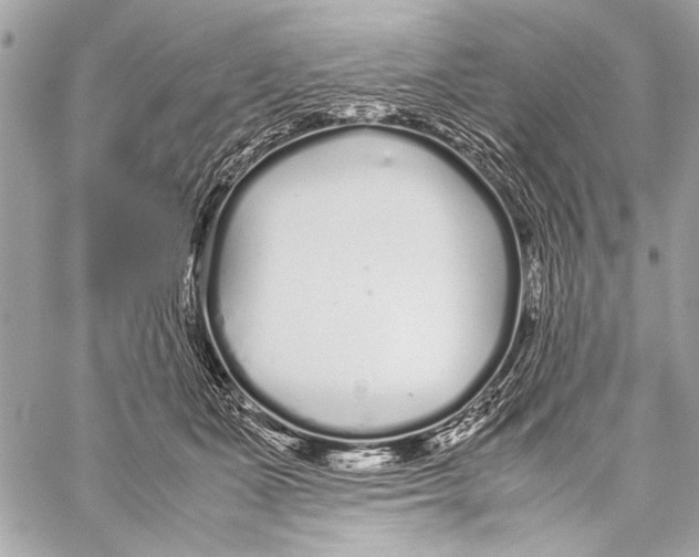 X0000057060511200510071410