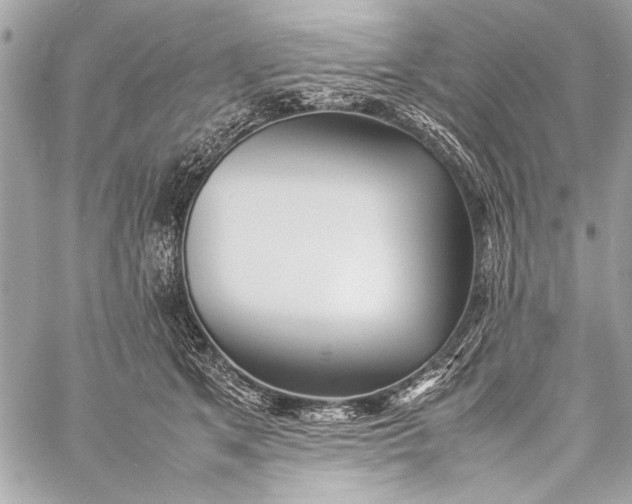 X0000057060513200510071410