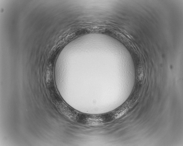 X0000057060515200510071410