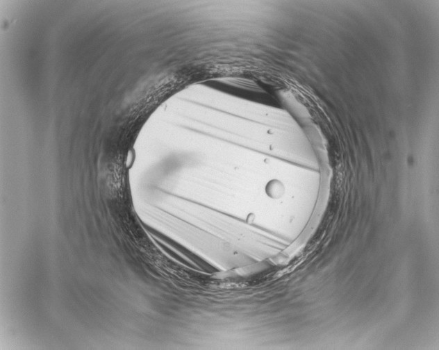 X0000057060517200510071410