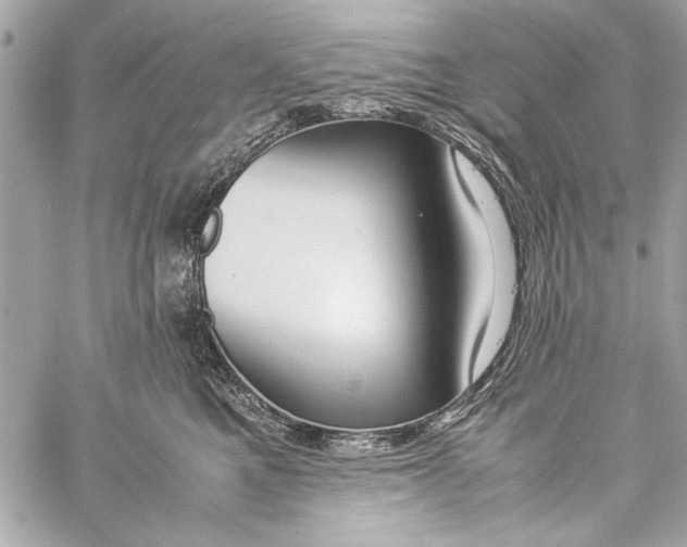 X0000057060521200510071410