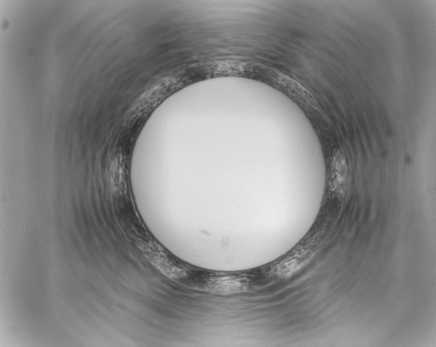 X0000057060522200510071410