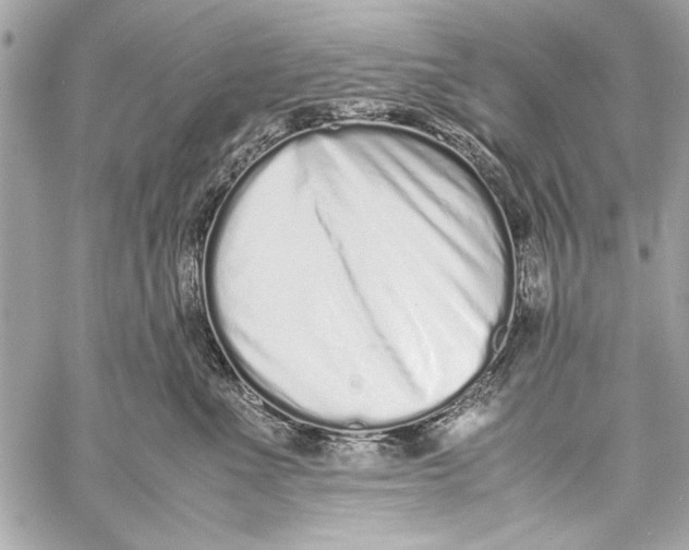 X0000057060523200510071410