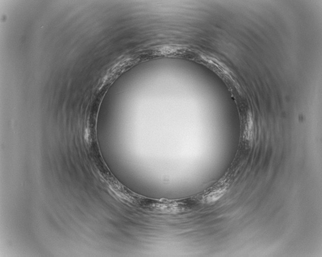 X0000057060524200510071410