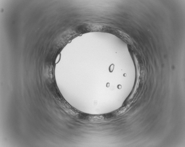 X0000057060525200510071410