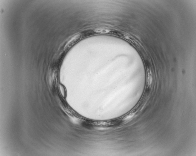 X0000057060527200510071410