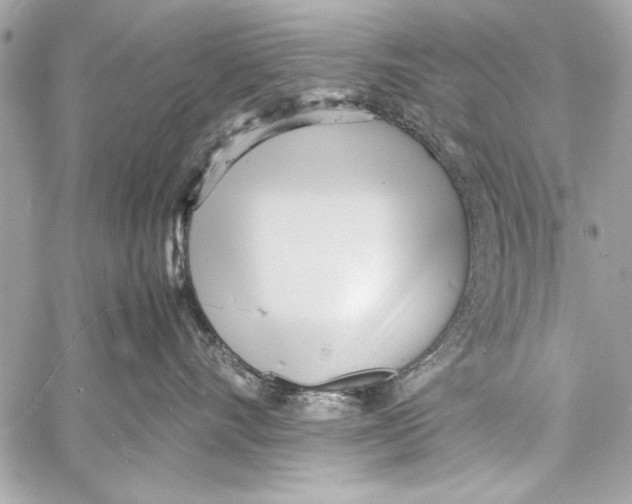 X0000057060528200510071410