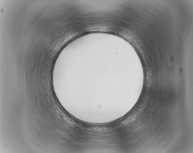 X0000057060529200510071409