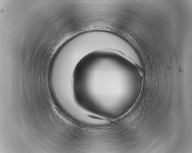 X0000057060530200510071409