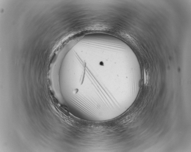 X0000057060531200510071409