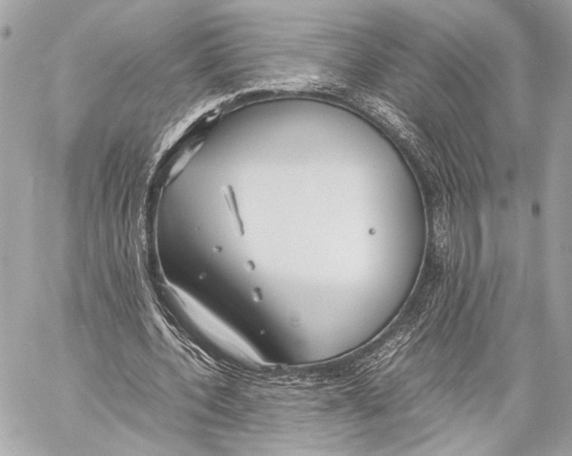 X0000057060532200510071409