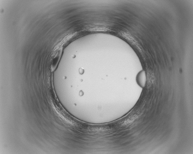 X0000057060533200510071409