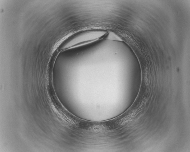 X0000057060536200510071409