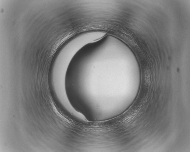 X0000057060538200510071409