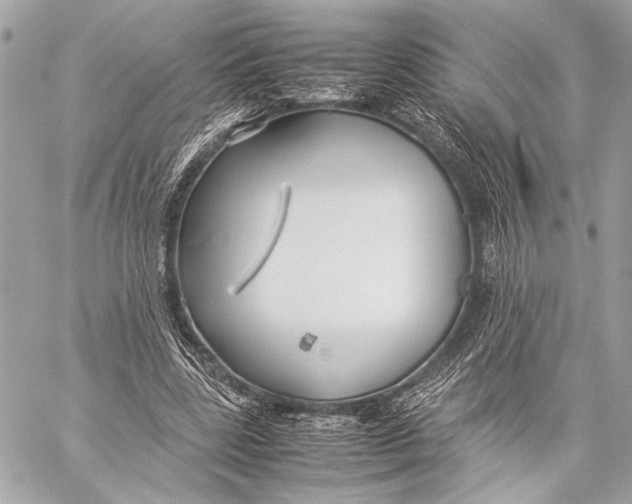 X0000057060539200510071409