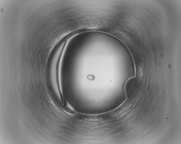 X0000057060540200510071409