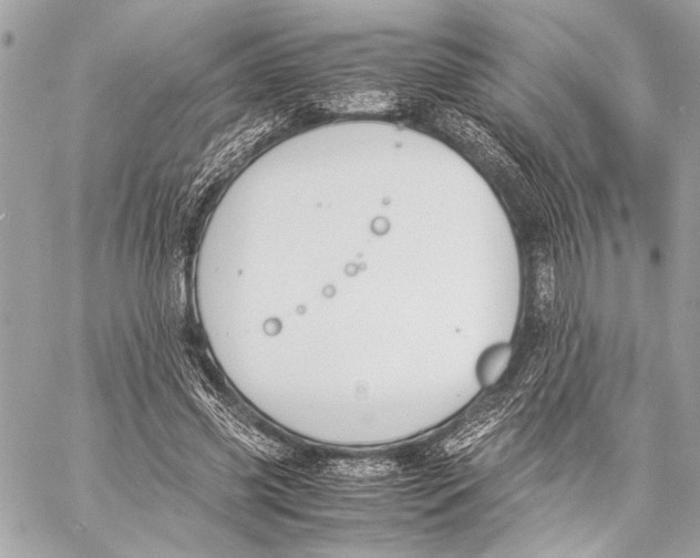 X0000057060541200510071409