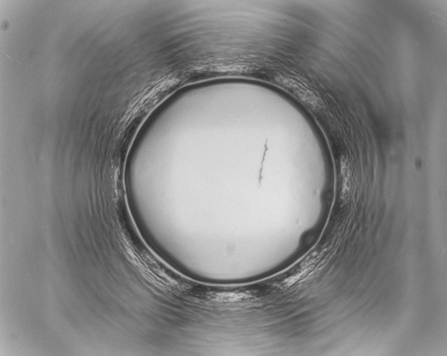 X0000057060542200510071409