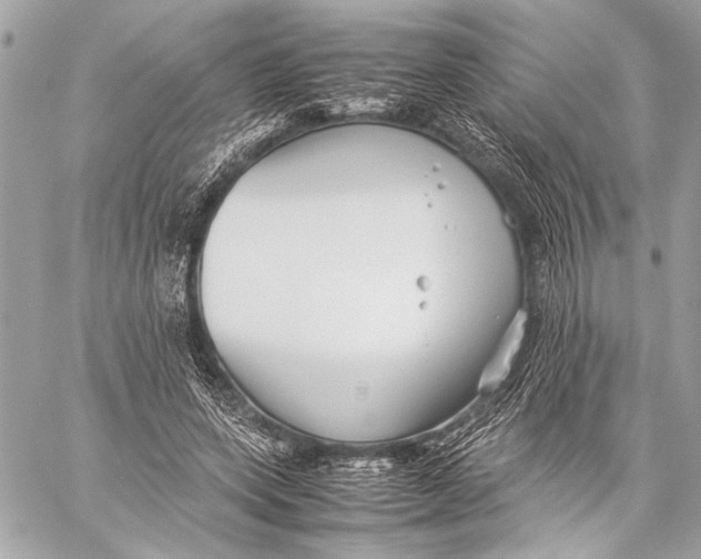 X0000057060543200510071409