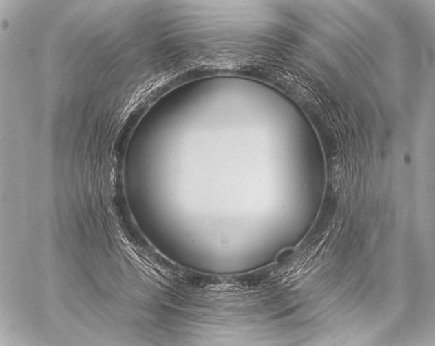 X0000057060544200510071409