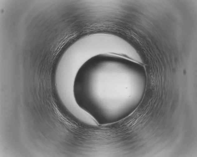 X0000057060546200510071409