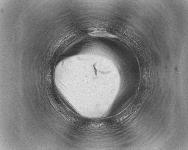 X0000057060547200510071409