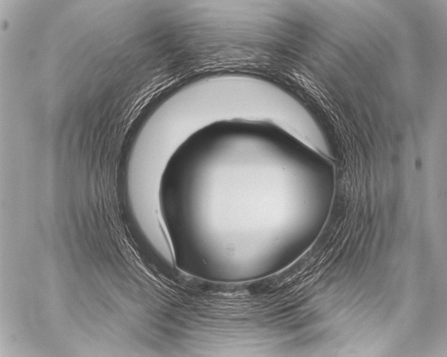 X0000057060548200510071409