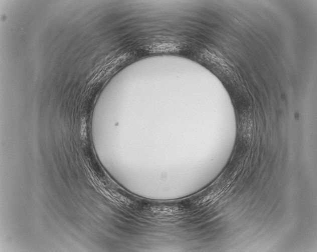 X0000057060549200510071409