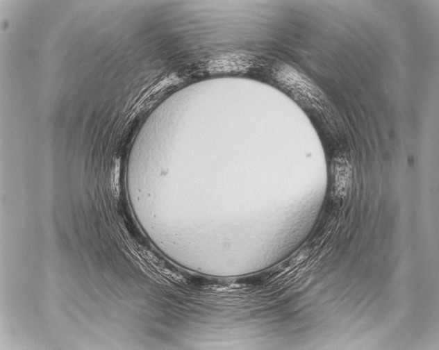 X0000057060550200510071409