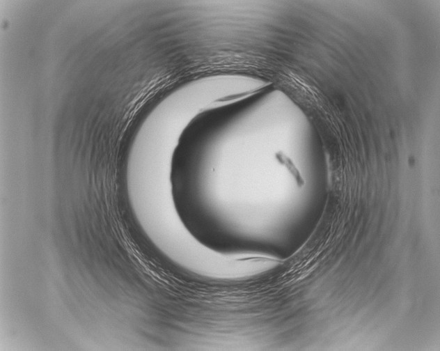 X0000057060552200510071409