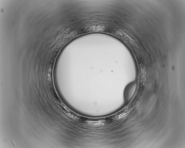 X0000057060553200510071409